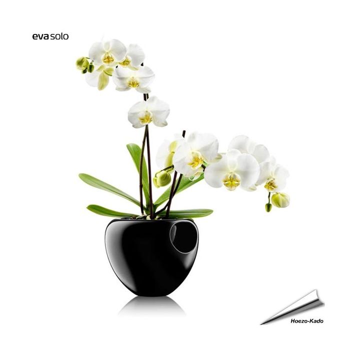 Orchidee pot (zwart)