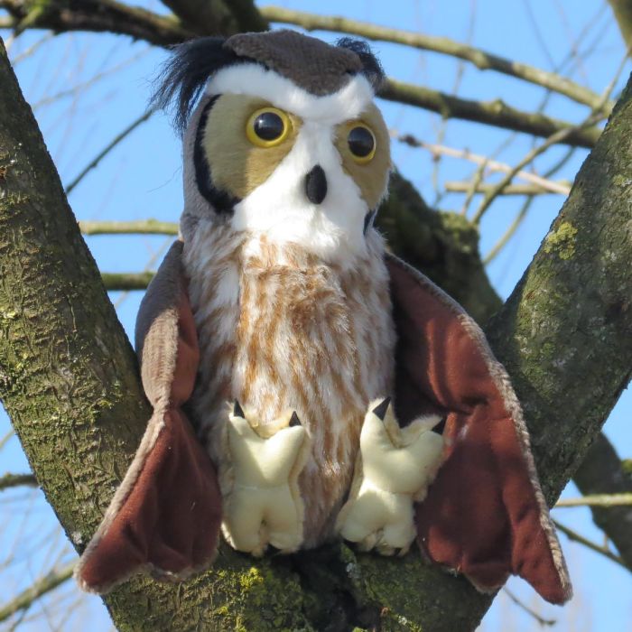 Koop de pluche Amerikaanse oehoe van Wild Republic Cuddlekins. Zachte uilenknuffel van ca. 30 cm met grote gele ogen en oorpluimen, geschikt vanaf 4 jaar.