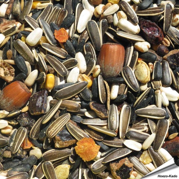 Premium Eekhoorn voer - Puur plantaardig (5 kg)