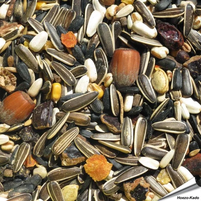 Premium Eekhoorn voer - Puur plantaardig (5 kg)