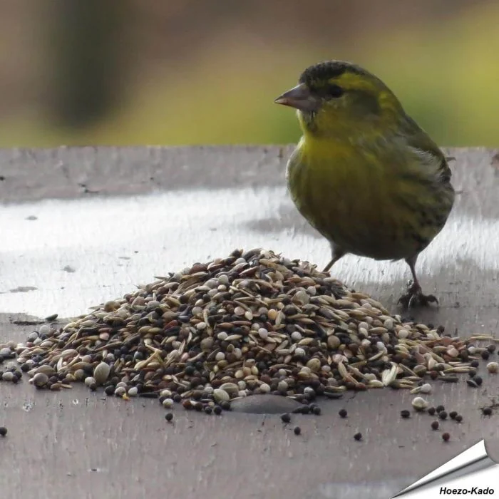 Premium vogelvoer - Tuinvogels (1 kg)