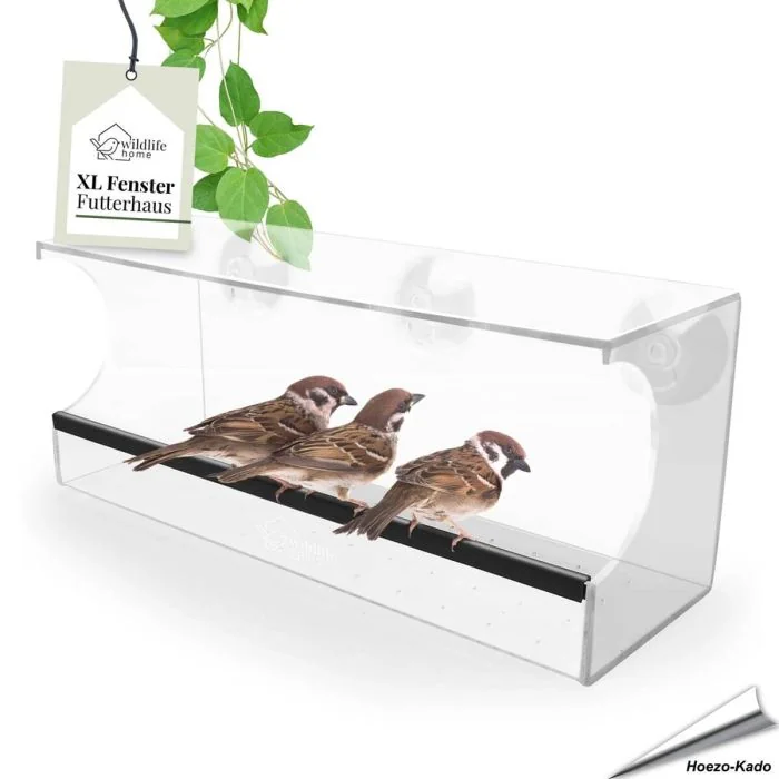 Koppel Ringmussen genieten van de vogelvoederbak aan het raam