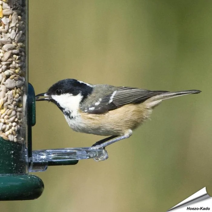 Ring-Pull voederringen voor voedersilo's