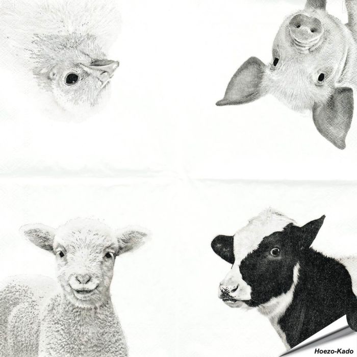 Stijlvolle servetten met koe, varken, schaap en kuiken van Esschert Design ✔️ FSC-papier, 3-laags, biologisch afbreekbaar ✔️ Perfect voor elke tafelsetting ➤ Bestel bij Hoezo-Kado