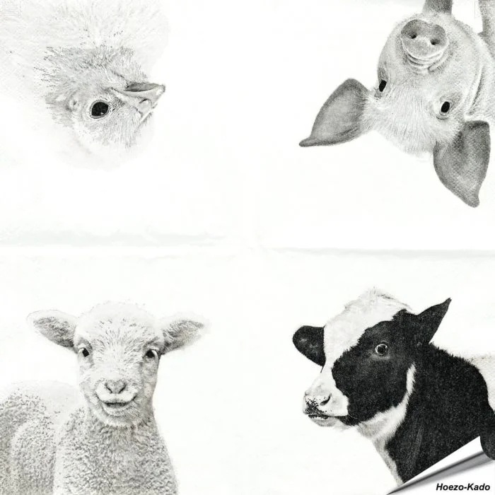 Stijlvolle servetten met koe, varken, schaap en kuiken van Esschert Design ✔️ FSC-papier, 3-laags, biologisch afbreekbaar ✔️ Perfect voor elke tafelsetting ➤ Bestel bij Hoezo-Kado
