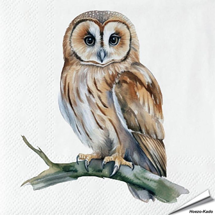 Servetten Bosuil | 20 stuks | FSC & 3-laags | Hoezo-Kado