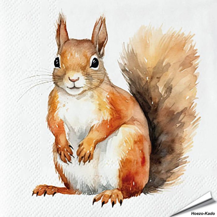 Servetten Eekhoorn | 20 stuks | FSC & 3-laags | Hoezo-Kado