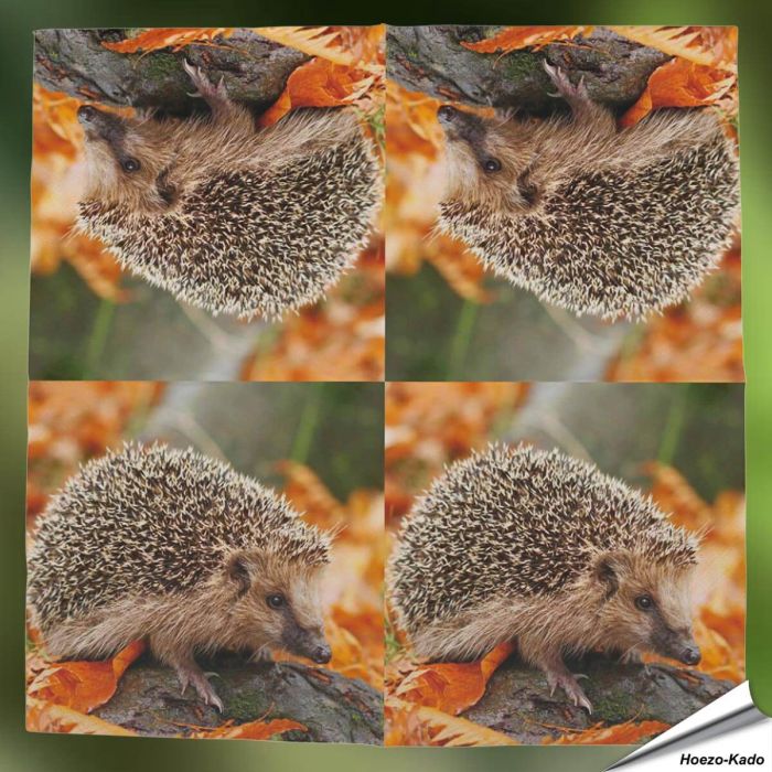 Servetten - Egel (20 stuks)