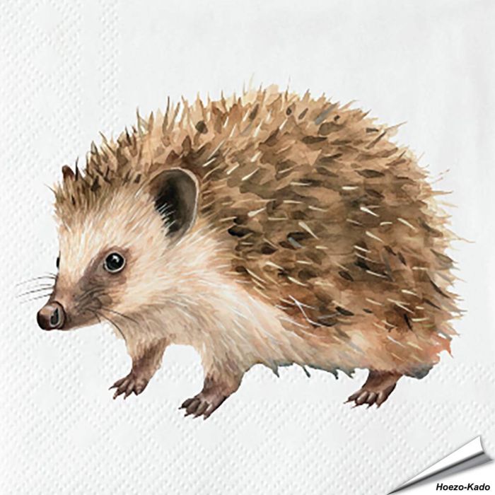 Servetten Egel | 20 stuks | FSC & 3-laags | Hoezo-Kado