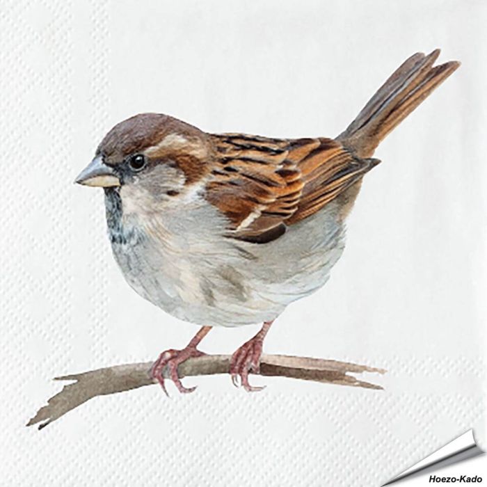 Servetten Huismus | 20 stuks | FSC & 3-laags | Hoezo-Kado