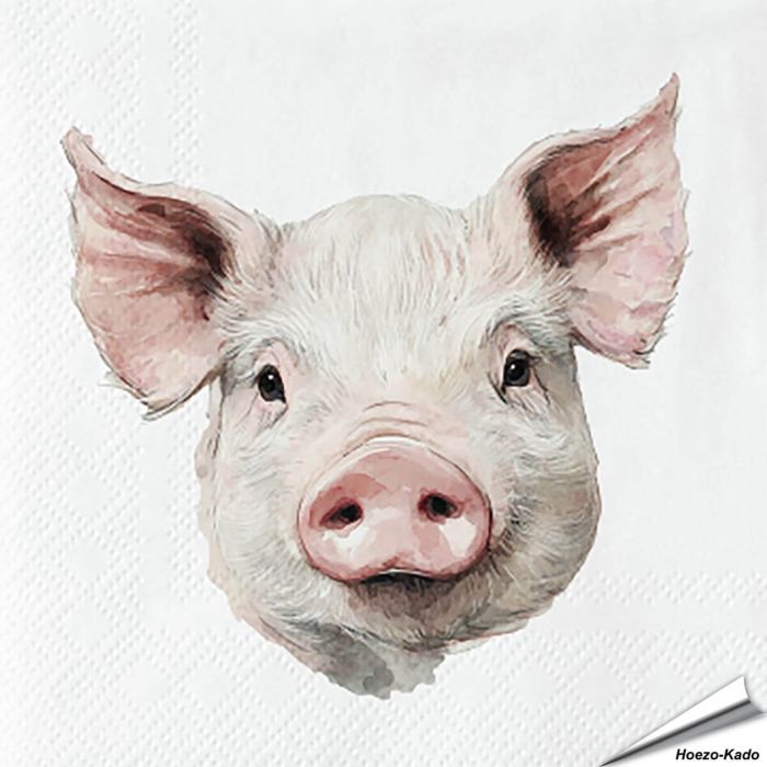 Stijlvolle servetten met een varken (boederijdier) van Esschert Design ✔️ FSC-papier, 3-laags, biologisch afbreekbaar ✔️ Perfect voor elke tafelsetting ➤ Bestel bij Hoezo-Kado