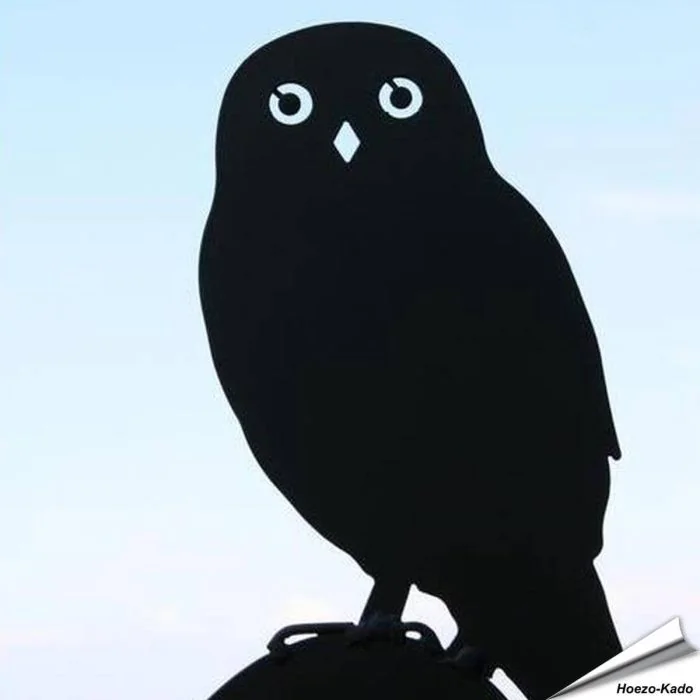 Silhouet - Steenuil