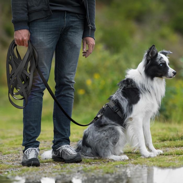 Zwarte sleeplijn voor honden | Sterk & weerbestendig | Hoezo-Kado