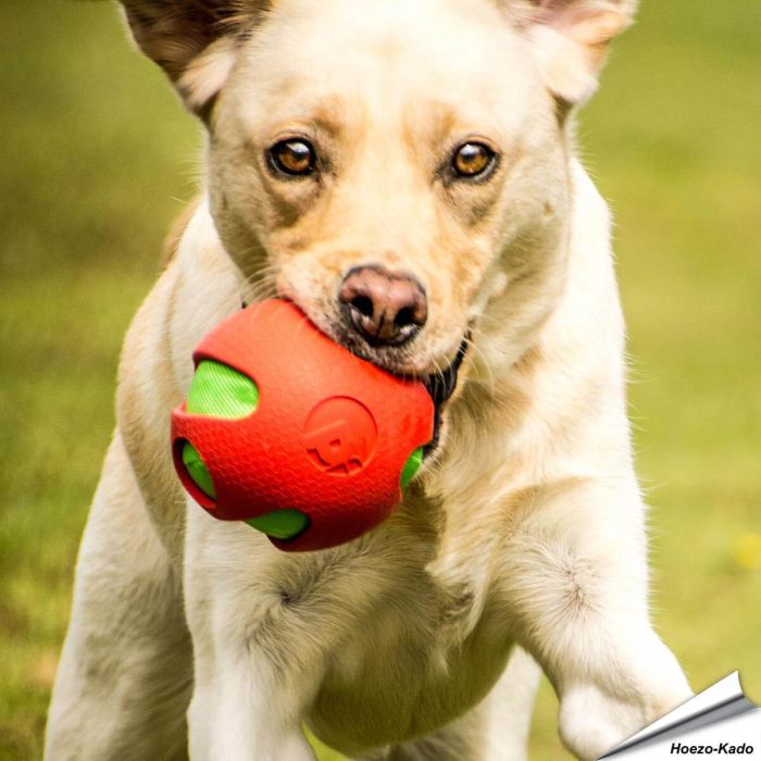 toyz - Crinkle Ball (rood)