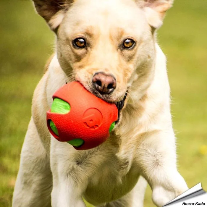 toyz - Crinkle Ball (rood)