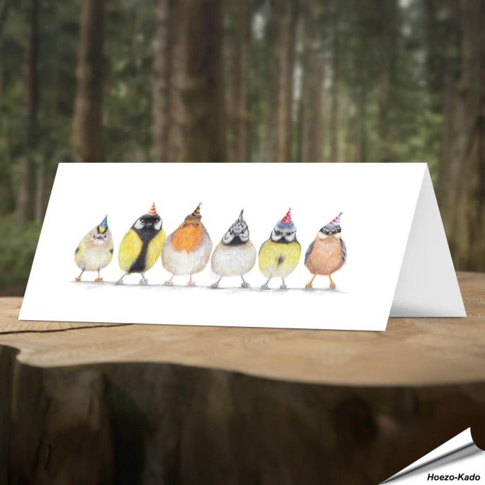 Verjaardagskaart met leuke tuinvogels - Voor natuurliefhebbers - www.hoezo-kado.nl