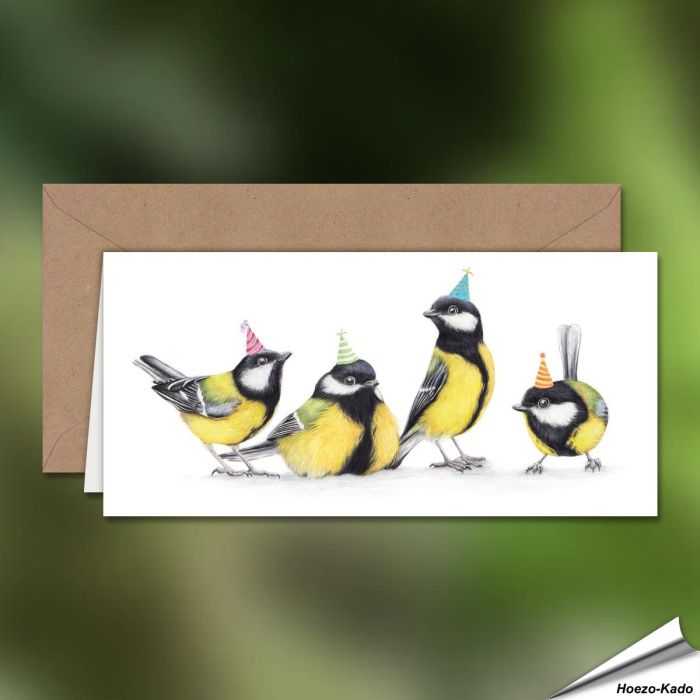 Verjaardagskaart met koolmeesjes - Voor natuurliefhebbers - www.hoezo-kado.nl