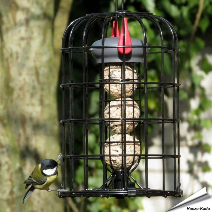 Vetbollenhouder met beschermkooi en vetbollen (8 x 90g)