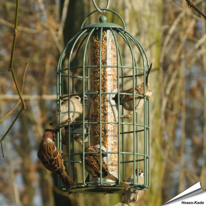 Zorg ervoor dat je vogels altijd genoeg te eten hebben met ons Voedersilo met beschermkooi voor zaden!