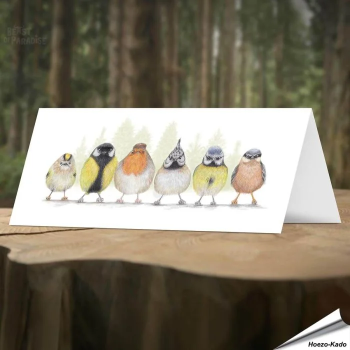 Vrolijke wenskaart met kleurrijke tuinvogels ✔️ FSC gecertificeerd papier ✔️ Kraft enveloppe inbegrepen ✔️ Bestel nu op www.hoezo-kado.nl