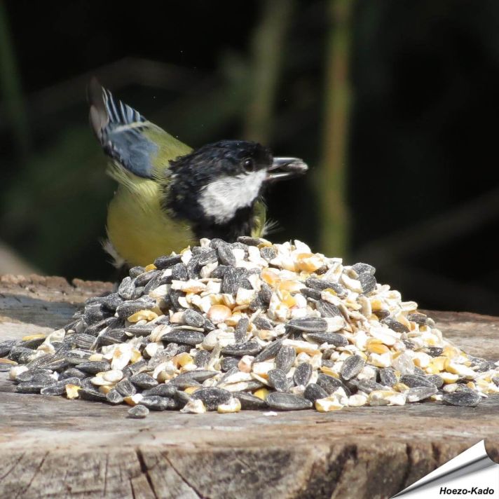 Bio Strooivoer voor tuinvogels (1 kg)