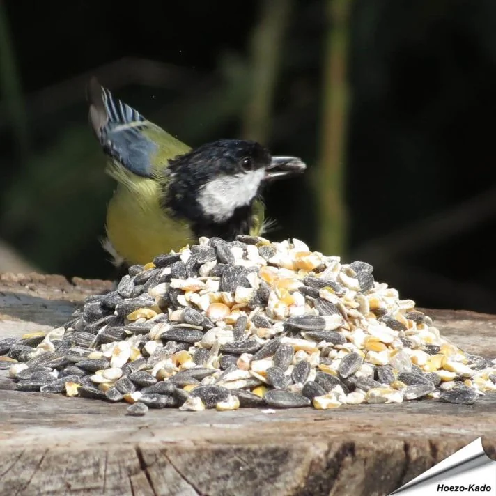 C.J. Wildlife - Biologisch Vogelvoer 