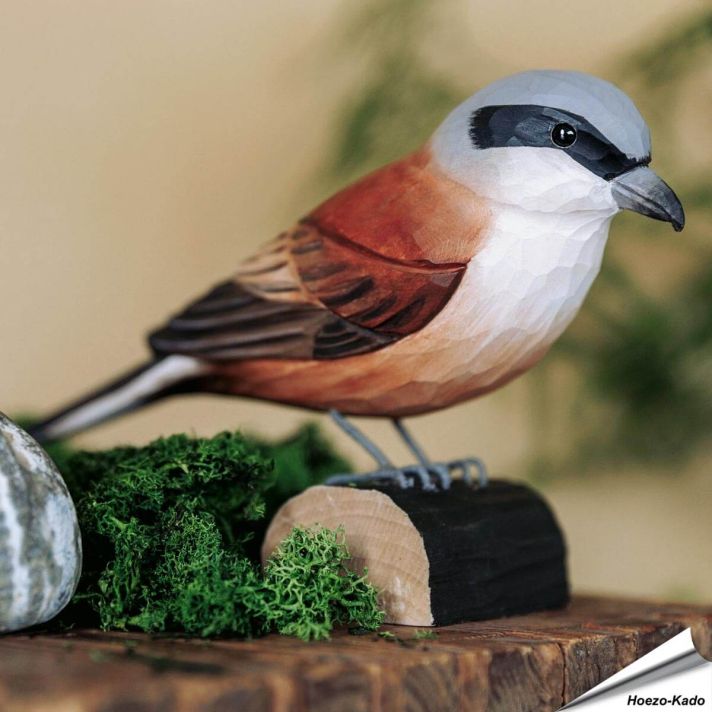Houtgesneden vogel in de vorm van een Grauwe klauwier is een mooie decoratie waar het hele gezin dol op zal zijn ✔️ Levensecht vorm- en kleur gegeven model ➤ Koop nu online bij Hoezo-Kado