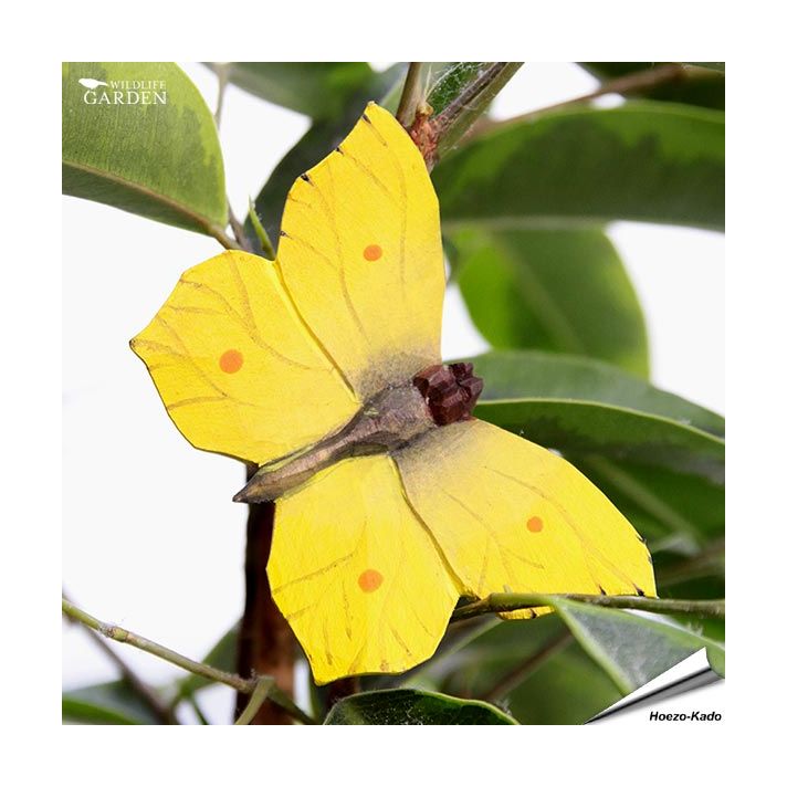 DecoButterfly - Koelkast Magneet - Citroenvlinder