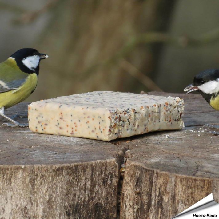 MultiPack - Energieblok met insecten (12 x 280g)