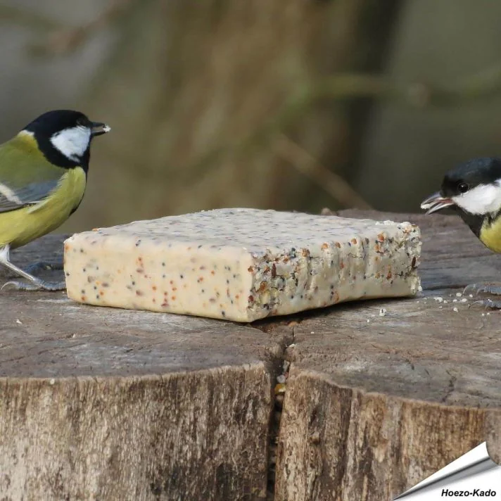 MultiPack - Energieblok met insecten (12 x 280g)