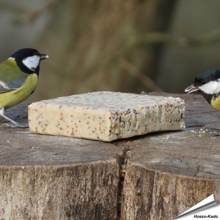 Energieblok / Vetblok met  Insecten voor vogels (320g)