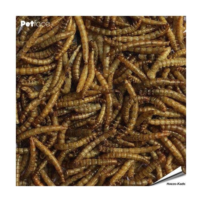 Gedroogde meelwormen (5 kg)