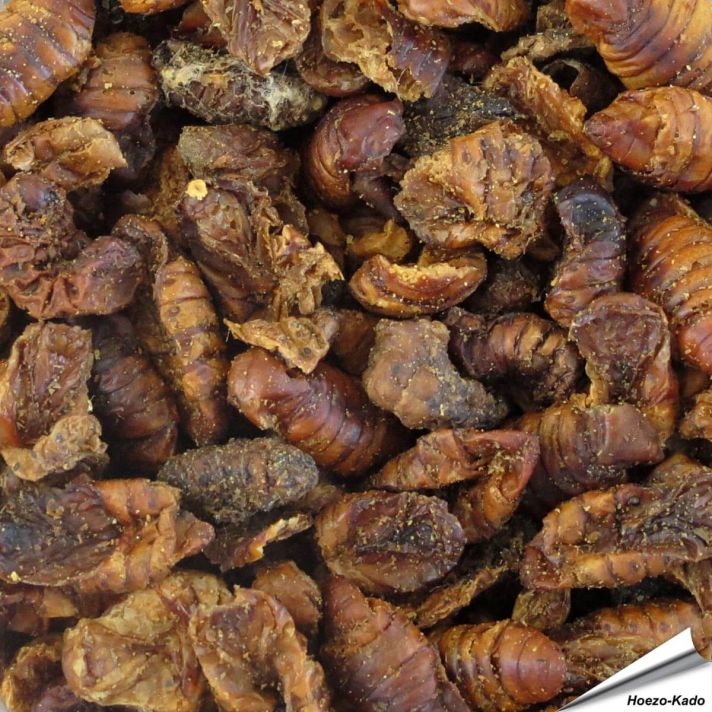 Gedroogde zijderupsen (400g)