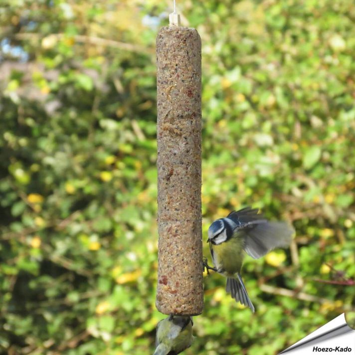 Energievoer voor tuinvogels ✔️ Verrijkt met eiwitrijke garnalen ✔️ Direct op te hangen dankzij geïntegreerd touw ✔️ Geschikt voor jaarrond bijvoeren ➤ Bestel vogelvoer eenvoudig online bij Hoezo-Kado