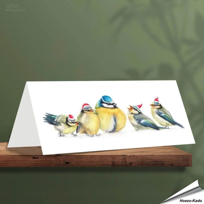 Kerstkaart met leuke pimpelmezen - Voor natuurliefhebbers - www.hoezo-kado.nl