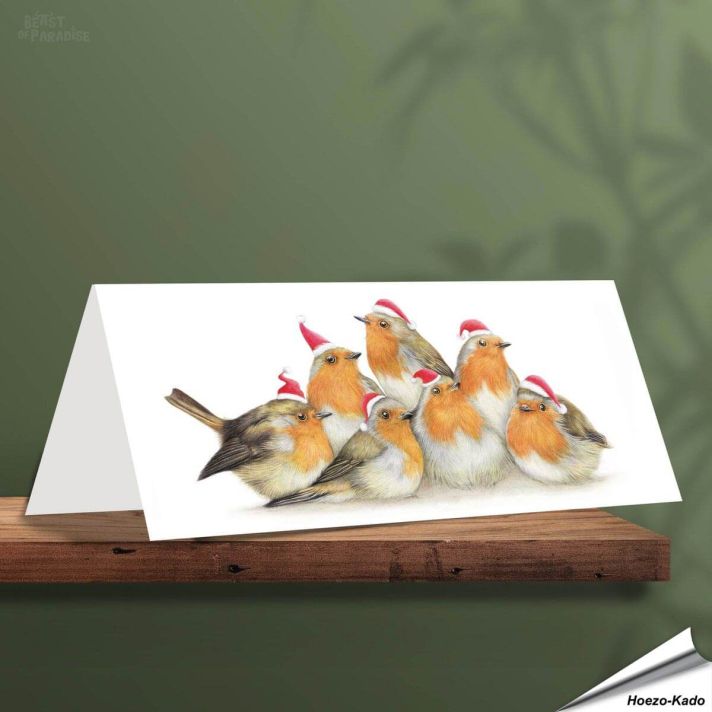 Kerstkaart met leuke Roodborstjes - Voor natuurliefhebbers - www.hoezo-kado.nl