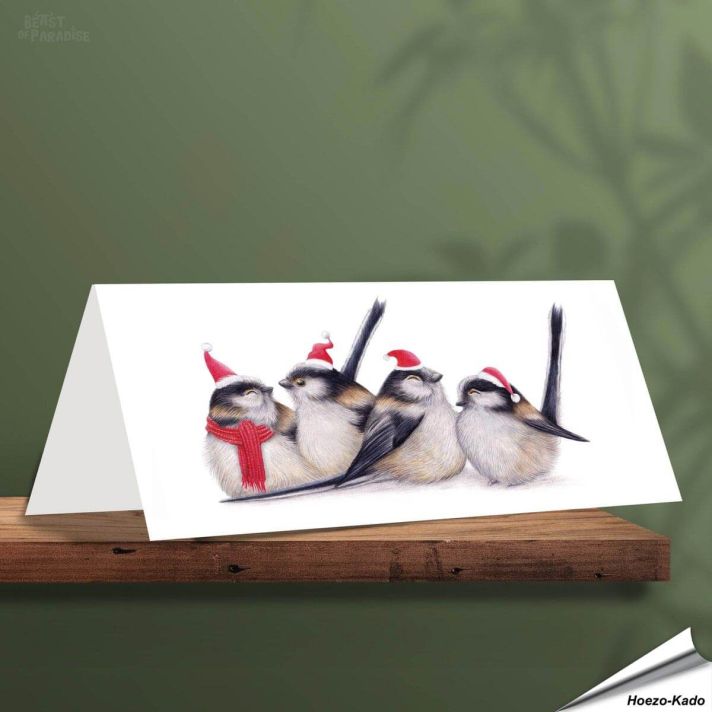 Kerstkaart met leuke staartmezen - Voor natuurliefhebbers - www.hoezo-kado.nl