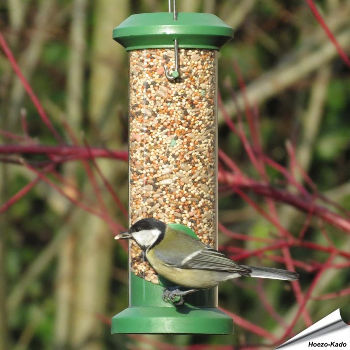 Kunststof zaadsilo voor tuinvogels (klein)