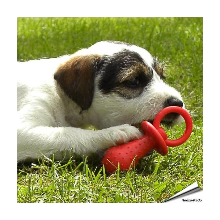 Little Petface - Kauwspeeltjes Set voor puppies (4 stuks)