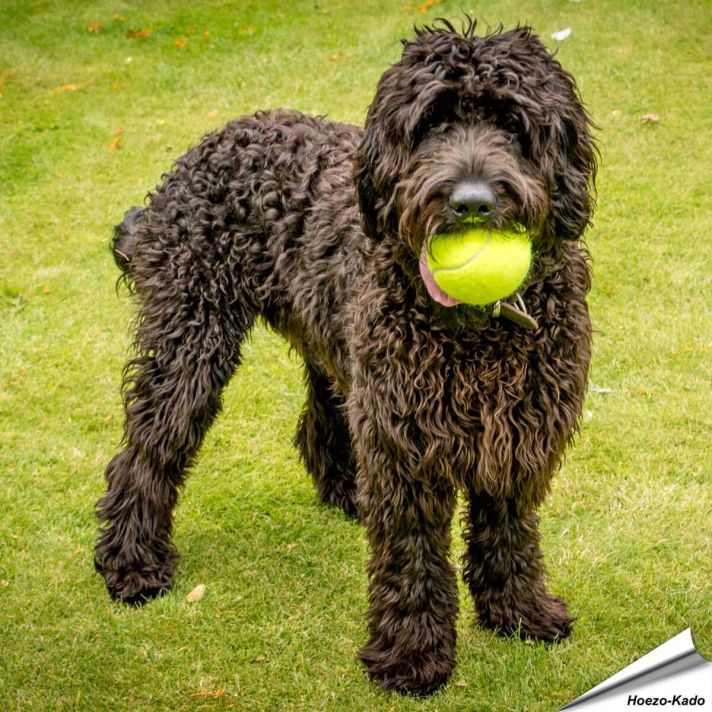 Mega Tennisbal (150mm)