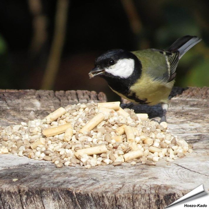 Mix voor kleine vogels - Hi-Energy (1 kg)