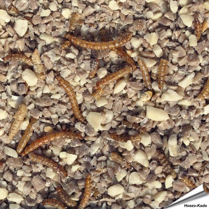 Mix voor kleine vogels - Hi-Protein (1 kg)