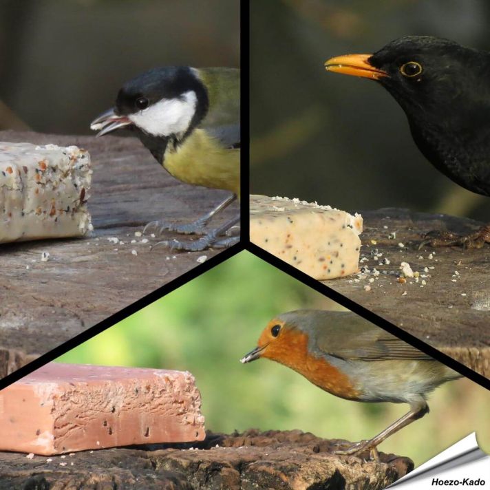 MIXPack - Energieblokken bessen, insecten en meelwormen (12 x 280g)