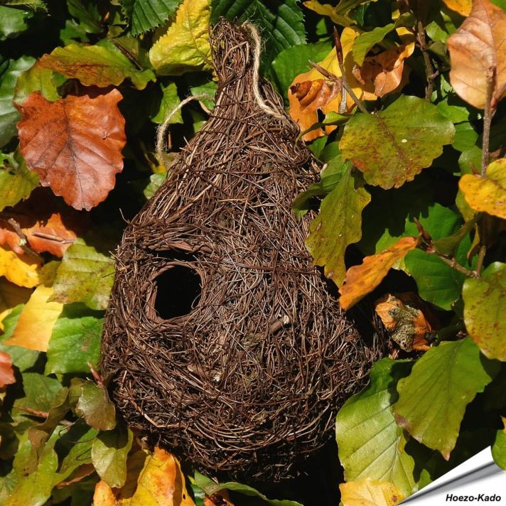 Nestbuidel Holenbroeders