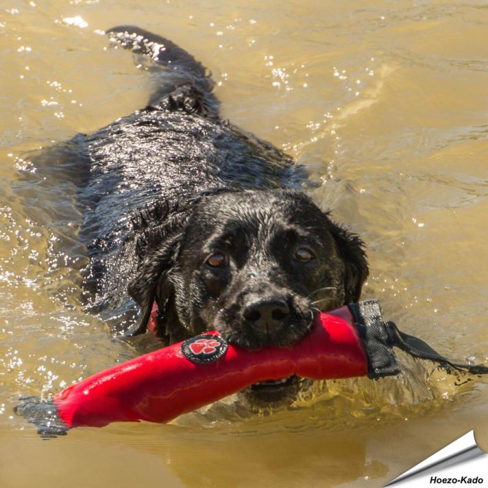 Outdoor Paws - Retriever
