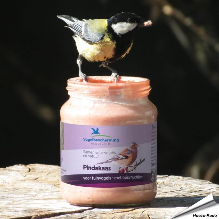 Pindakaas voor tuinvogels - Met bosvruchten (300ml)