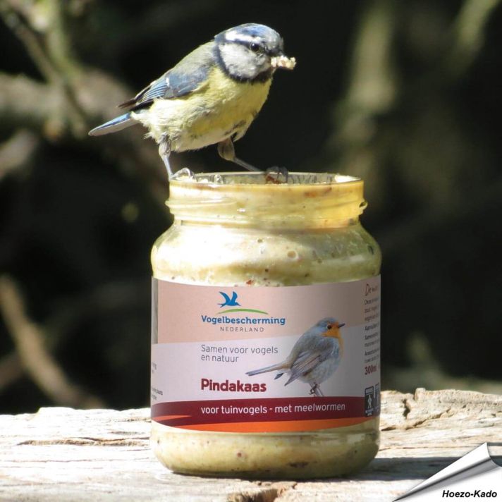 Pindakaas voor tuinvogels - Met meelwormen