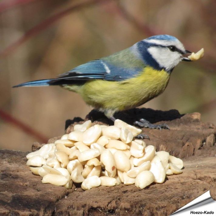 Premium halve pinda's (2 kg)