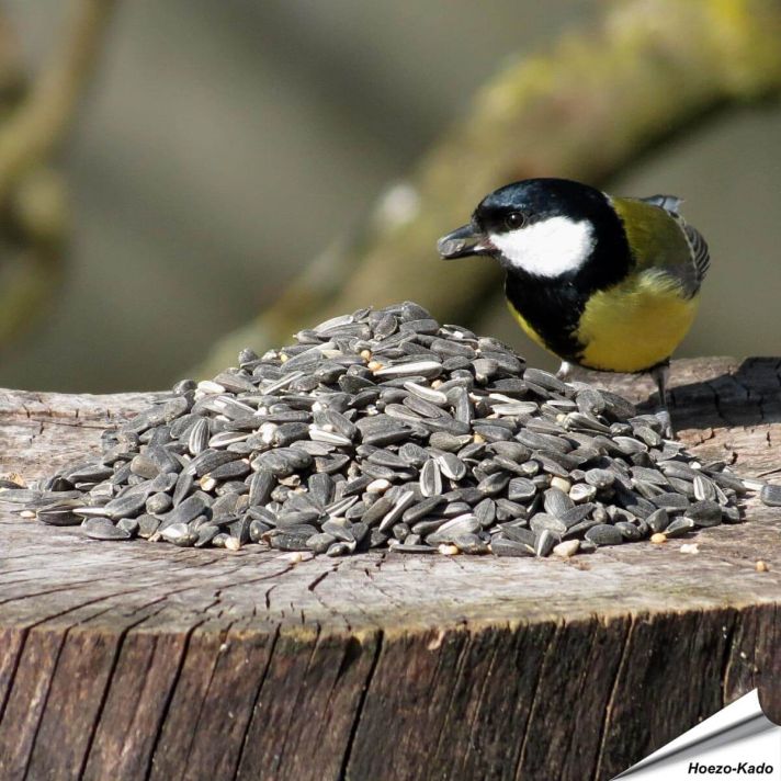 Premium voedersilo mix (1 kg)