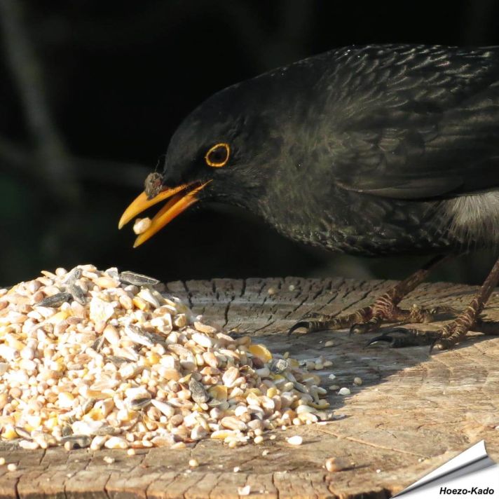 Table Top-Mix met Anijszaad
